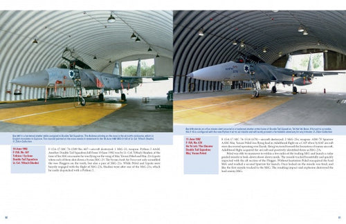 Load image into Gallery viewer, The Raptors by Schiffer Publishing
