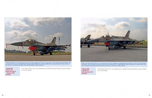 Load image into Gallery viewer, The Raptors by Schiffer Publishing
