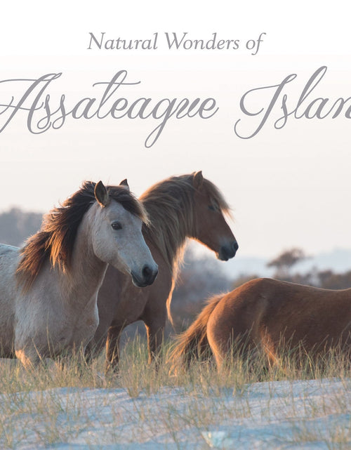 Load image into Gallery viewer, Natural Wonders of Assateague Island by Schiffer Publishing
