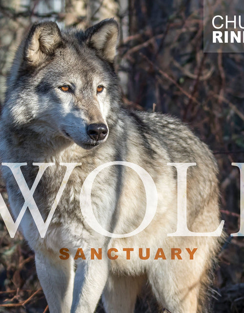 Load image into Gallery viewer, Wolf Sanctuary by Schiffer Publishing
