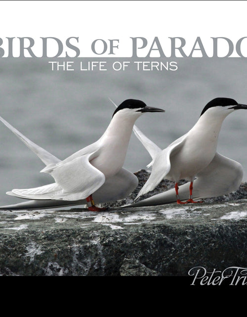 Load image into Gallery viewer, Birds of Paradox by Schiffer Publishing
