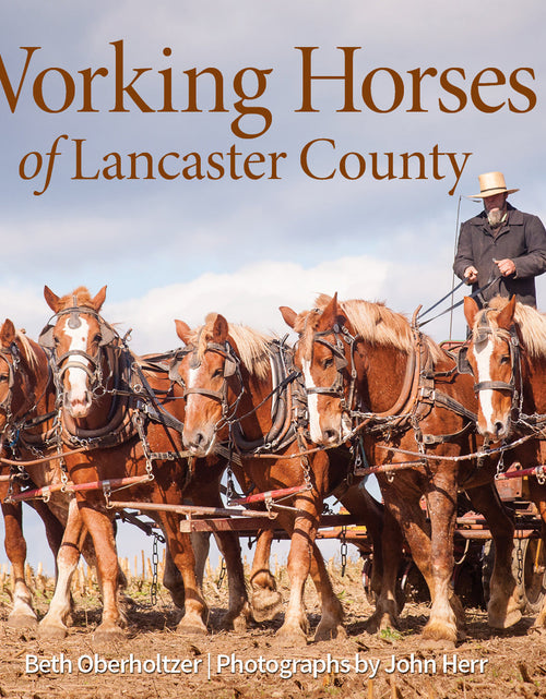 Load image into Gallery viewer, Working Horses of Lancaster County by Schiffer Publishing
