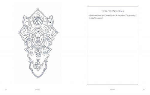 Load image into Gallery viewer, Awake by Schiffer Publishing
