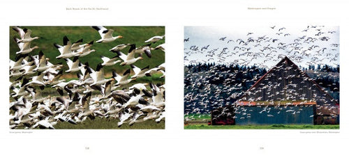 Load image into Gallery viewer, Back Roads of the Pacific Northwest by Schiffer Publishing
