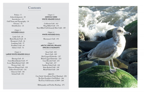 Load image into Gallery viewer, Gulls of North America by Schiffer Publishing
