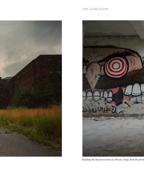 Load image into Gallery viewer, A Vanishing New York by Schiffer Publishing
