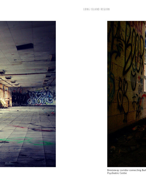 Load image into Gallery viewer, A Vanishing New York by Schiffer Publishing
