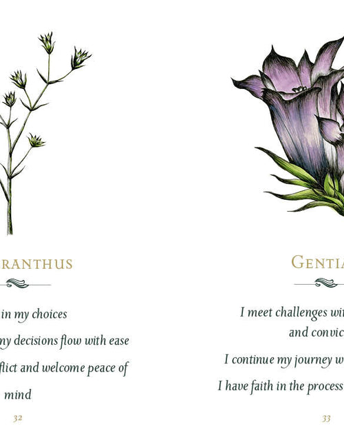 Load image into Gallery viewer, Listening to Flowers by Schiffer Publishing
