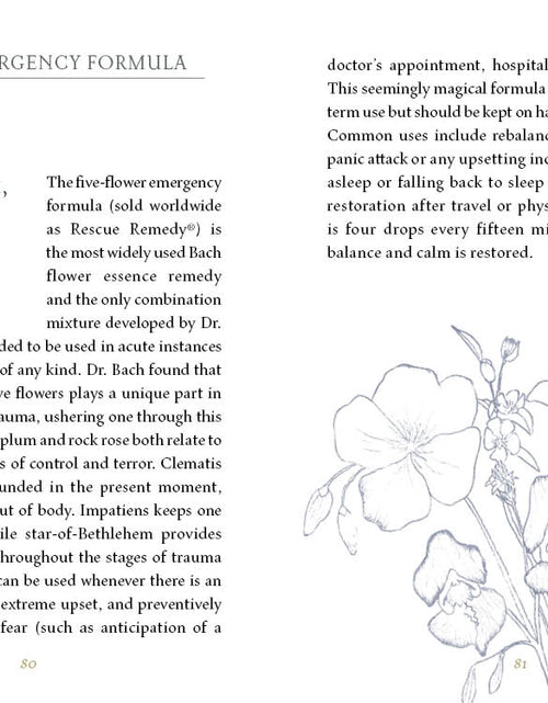 Load image into Gallery viewer, Listening to Flowers by Schiffer Publishing
