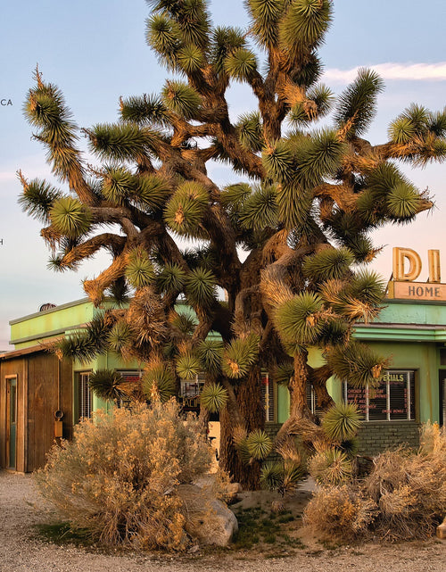 Load image into Gallery viewer, Lost Places by Schiffer Publishing
