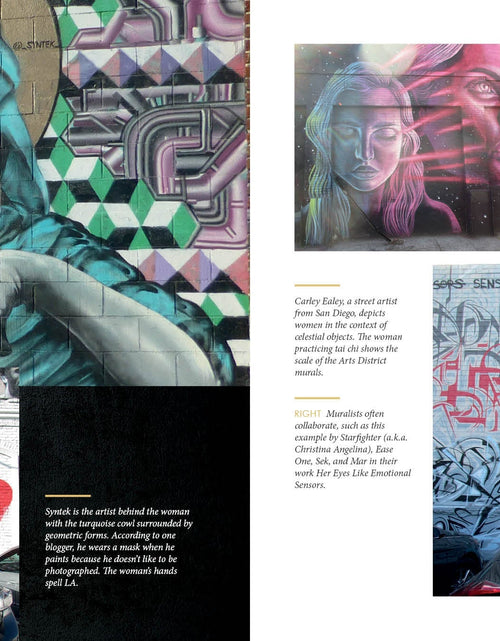 Load image into Gallery viewer, Women on the Walls by Schiffer Publishing

