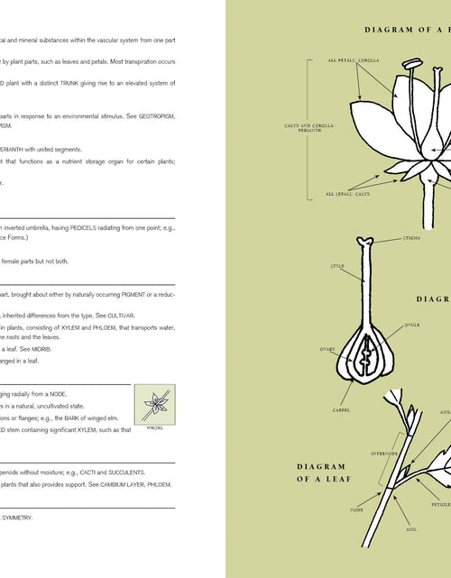 Load image into Gallery viewer, The AIFD Guide to Floral Design by Schiffer Publishing
