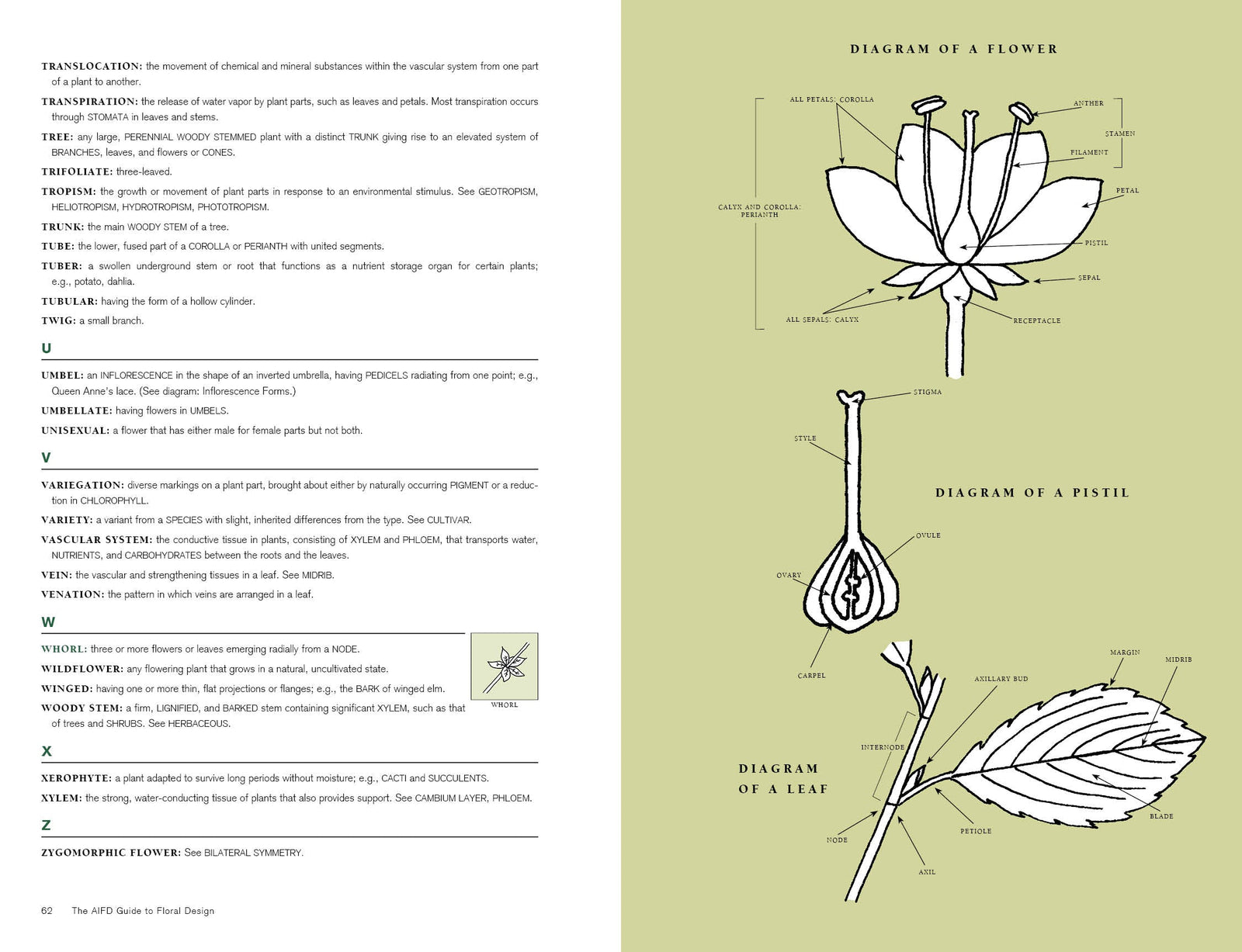 The AIFD Guide to Floral Design by Schiffer Publishing