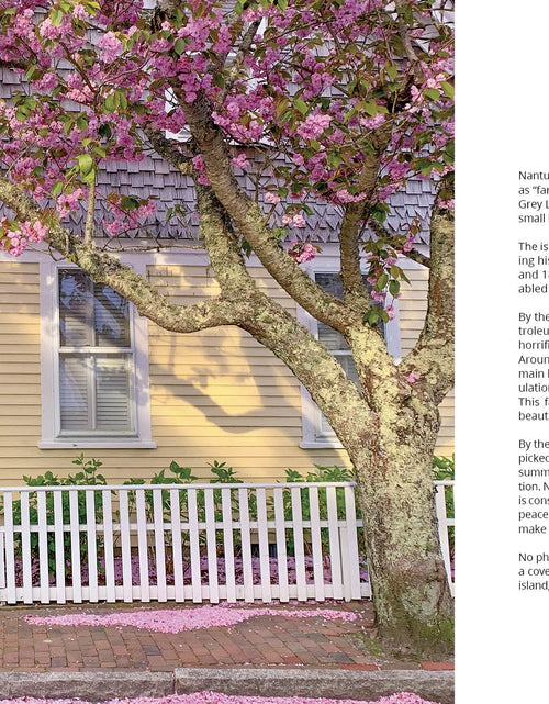 Load image into Gallery viewer, Nantucket by Schiffer Publishing
