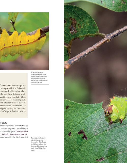 Load image into Gallery viewer, In Search of Wild Silk by Schiffer Publishing
