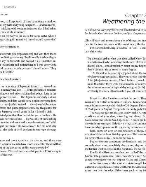 Load image into Gallery viewer, Awaiting the Sun by Schiffer Publishing
