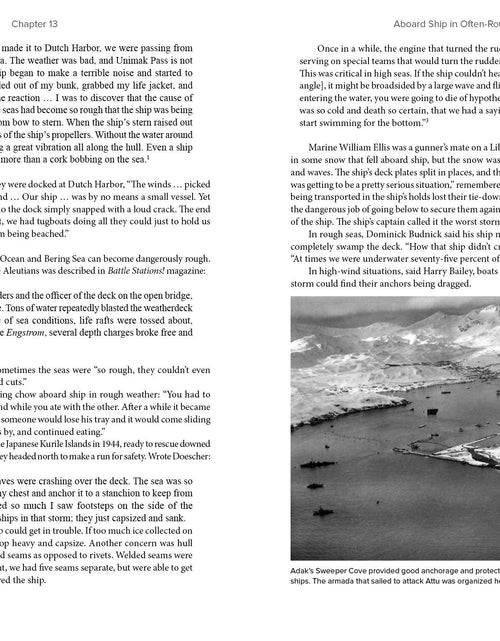 Load image into Gallery viewer, Awaiting the Sun by Schiffer Publishing
