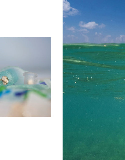 Load image into Gallery viewer, Beaches by Schiffer Publishing
