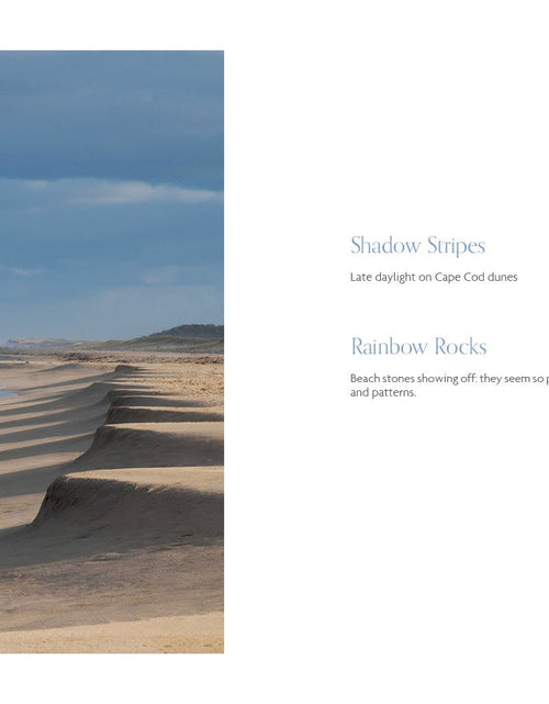 Load image into Gallery viewer, Beaches by Schiffer Publishing
