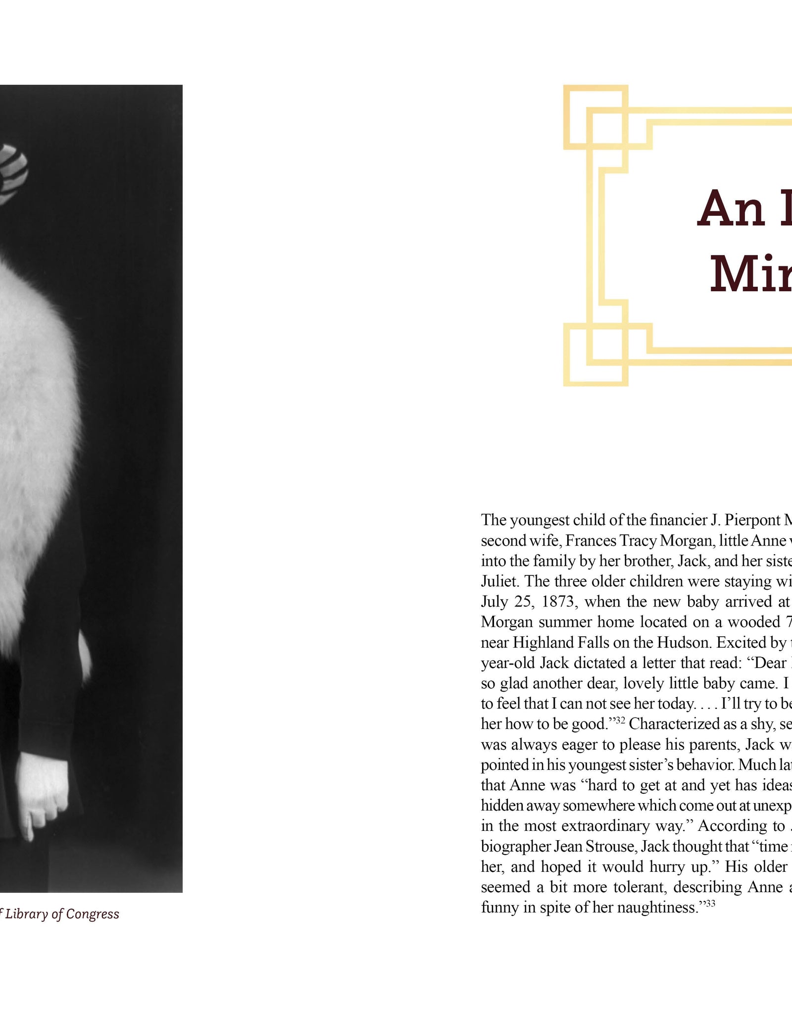 Anne Morgan by Schiffer Publishing