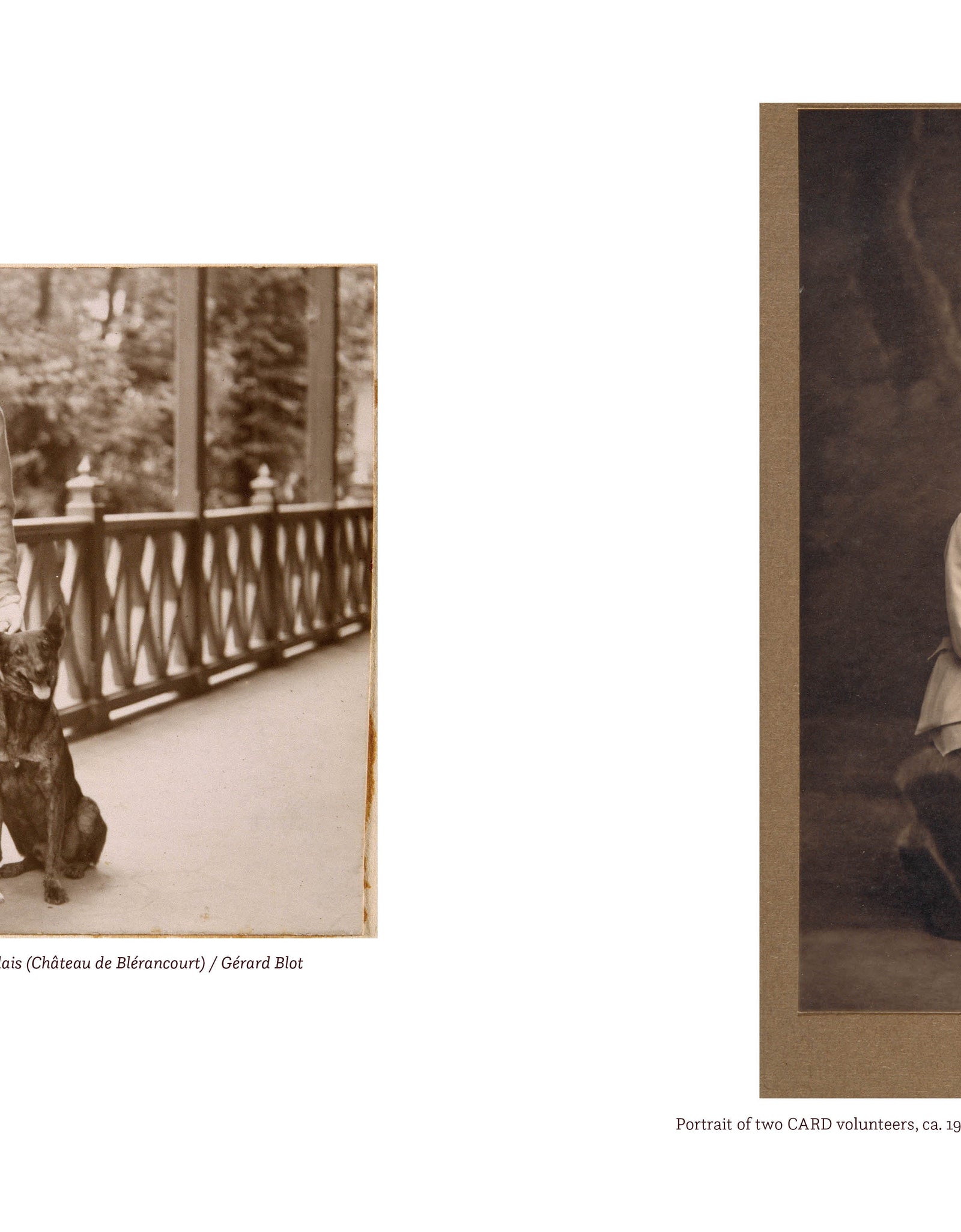 Anne Morgan by Schiffer Publishing