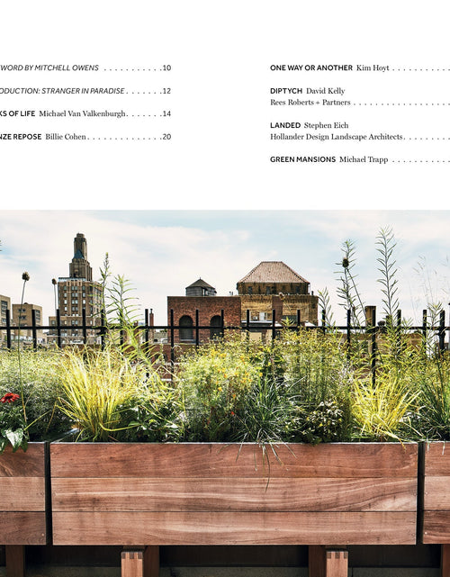 Load image into Gallery viewer, Repose in the Metropolis by Schiffer Publishing
