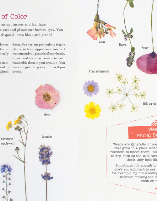 Load image into Gallery viewer, The Little Book of Flower Pressing by Schiffer Publishing
