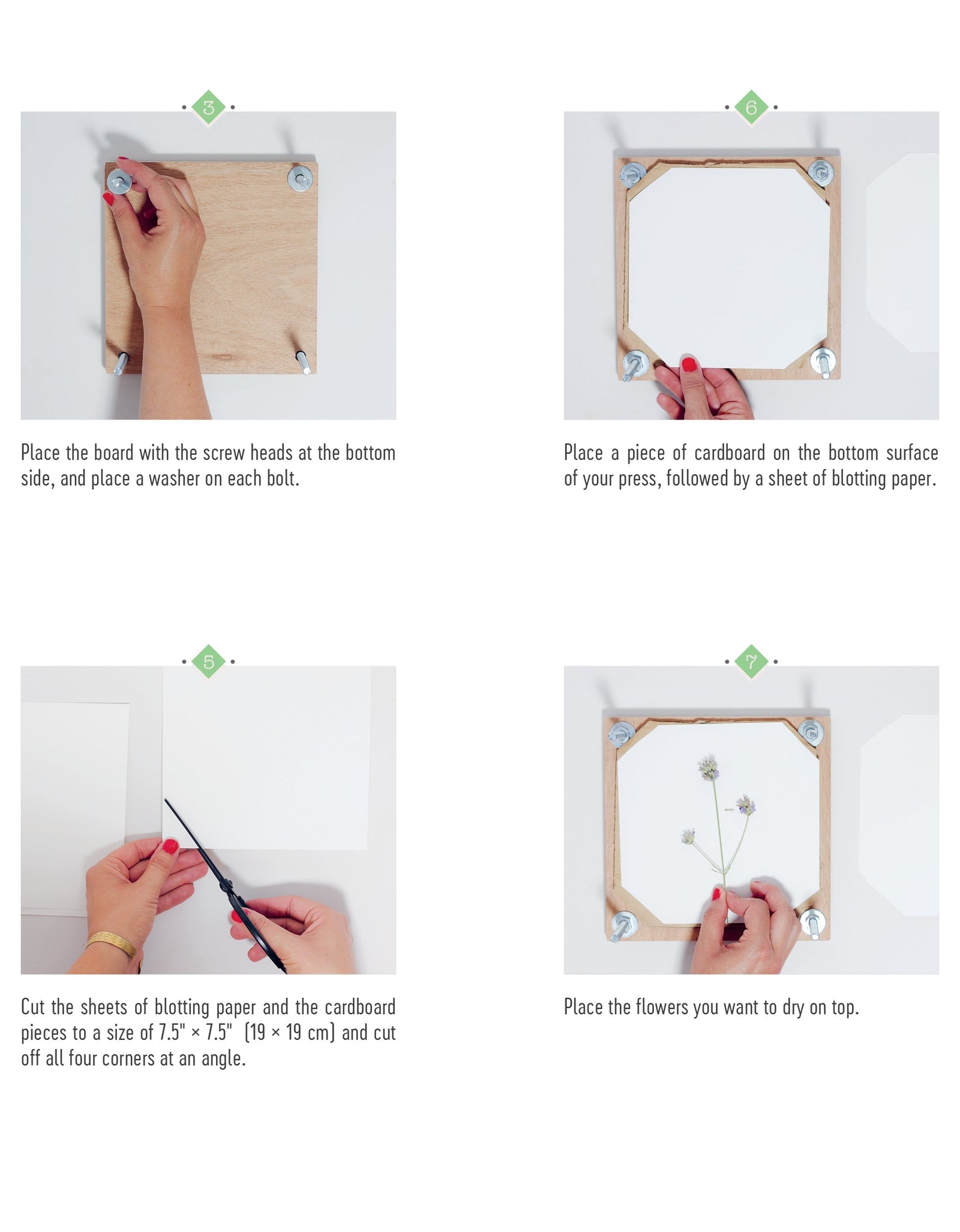 The Little Book of Flower Pressing by Schiffer Publishing