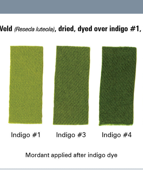 Load image into Gallery viewer, The Studio Formulas Set for The Art and Science of Natural Dyes by Schiffer Publishing

