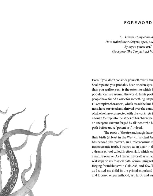 Load image into Gallery viewer, Iago's Penumbra by Schiffer Publishing
