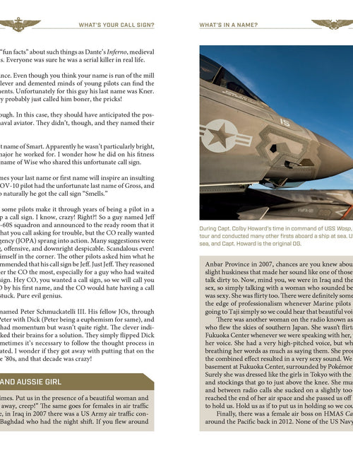 Load image into Gallery viewer, What's Your Call Sign? by Schiffer Publishing
