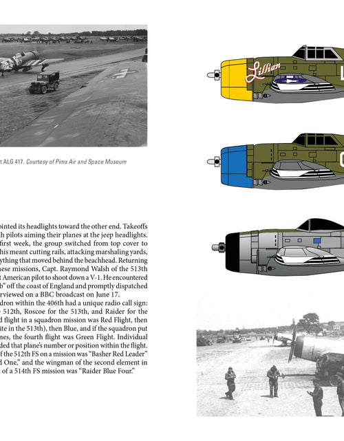 Load image into Gallery viewer, The 406th Fighter Group by Schiffer Publishing

