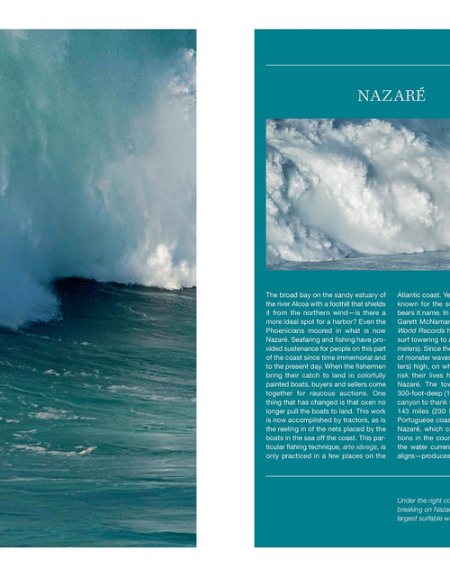 Load image into Gallery viewer, The Wild Atlantic by Schiffer Publishing

