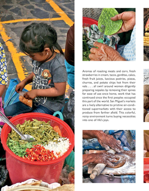 Load image into Gallery viewer, San Miguel de Allende by Schiffer Publishing
