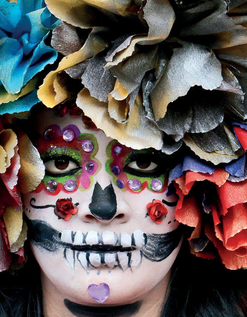 Load image into Gallery viewer, San Miguel de Allende by Schiffer Publishing
