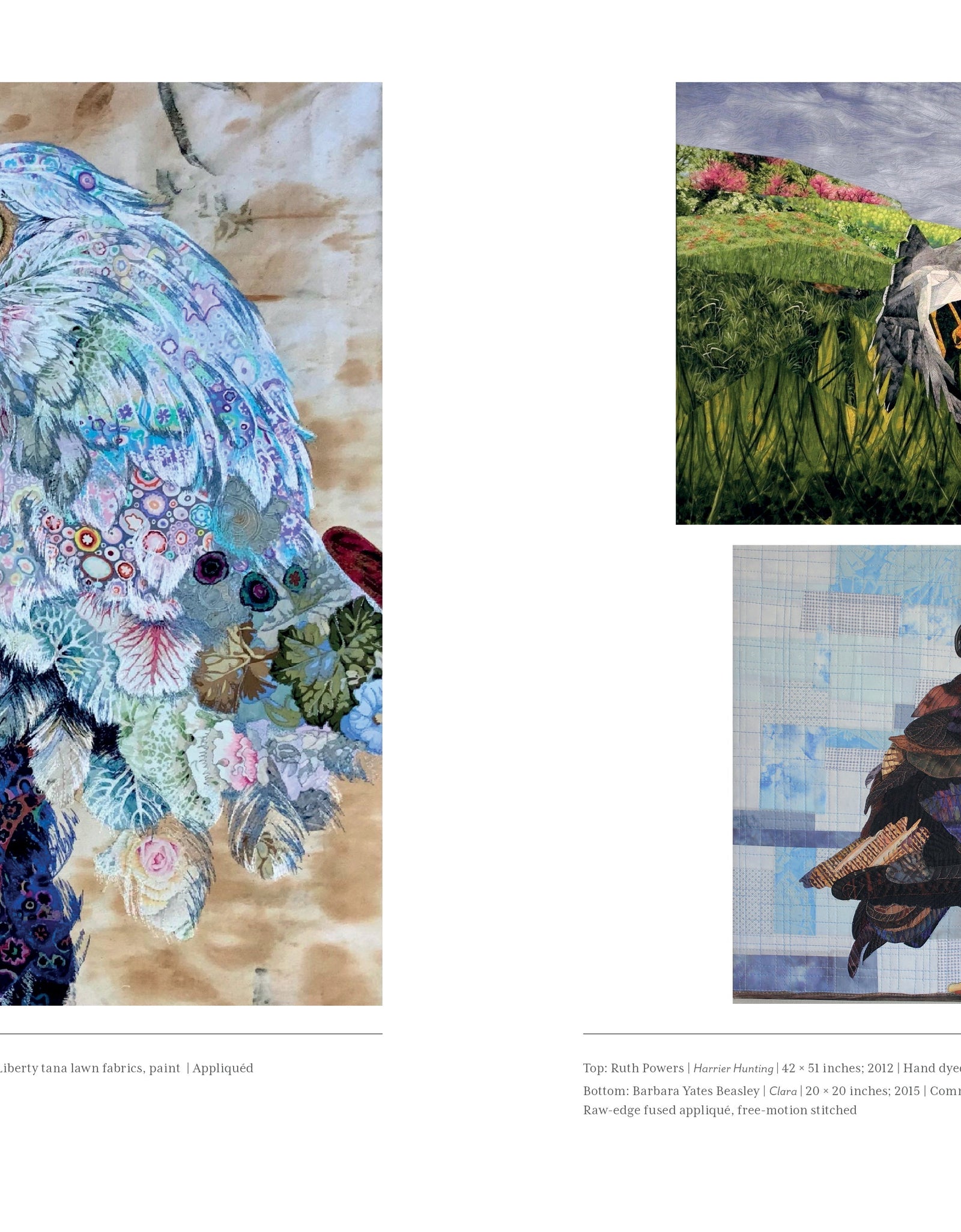 Stitched Journeys with Birds by Schiffer Publishing
