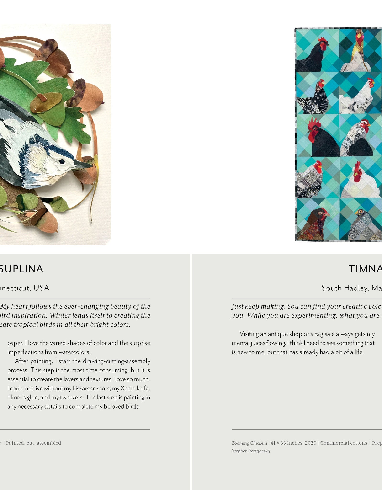 Stitched Journeys with Birds by Schiffer Publishing