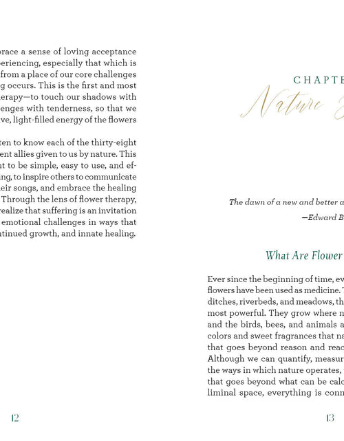 Load image into Gallery viewer, The Art of Flower Therapy by Schiffer Publishing
