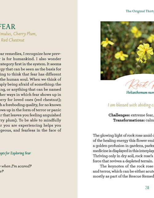Load image into Gallery viewer, The Art of Flower Therapy by Schiffer Publishing
