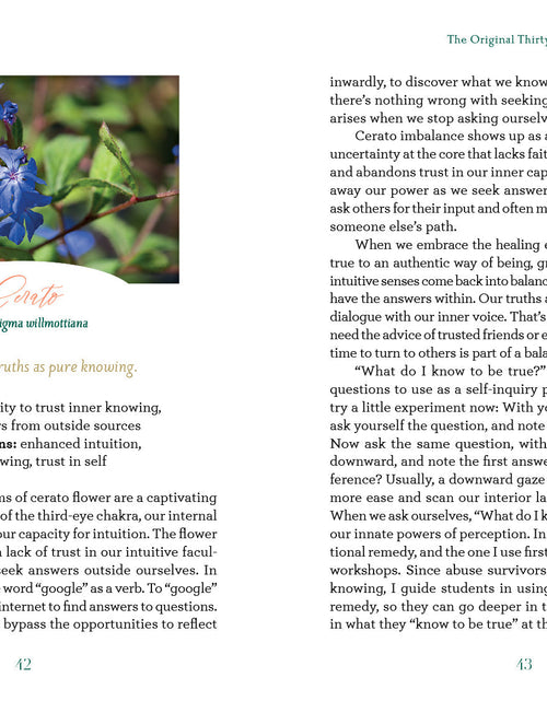 Load image into Gallery viewer, The Art of Flower Therapy by Schiffer Publishing
