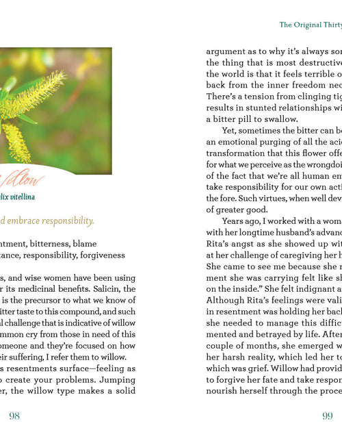 Load image into Gallery viewer, The Art of Flower Therapy by Schiffer Publishing
