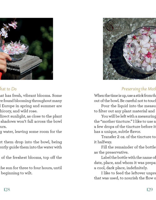 Load image into Gallery viewer, The Art of Flower Therapy by Schiffer Publishing
