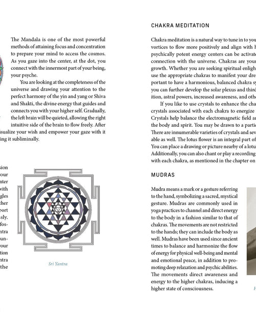 Load image into Gallery viewer, Dream Your Reality by Schiffer Publishing
