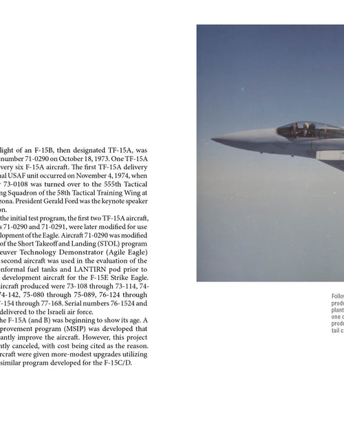 Load image into Gallery viewer, F-15 Eagle by Schiffer Publishing
