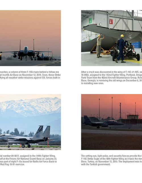 Load image into Gallery viewer, F-15 Eagle by Schiffer Publishing
