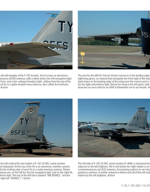 Load image into Gallery viewer, F-15 Eagle by Schiffer Publishing
