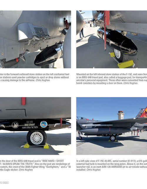 Load image into Gallery viewer, F-15 Eagle by Schiffer Publishing
