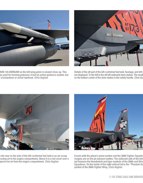 Load image into Gallery viewer, F-15 Eagle by Schiffer Publishing

