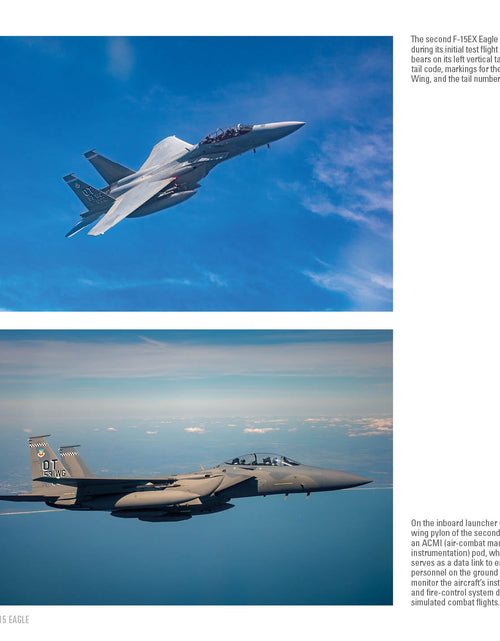 Load image into Gallery viewer, F-15 Eagle by Schiffer Publishing
