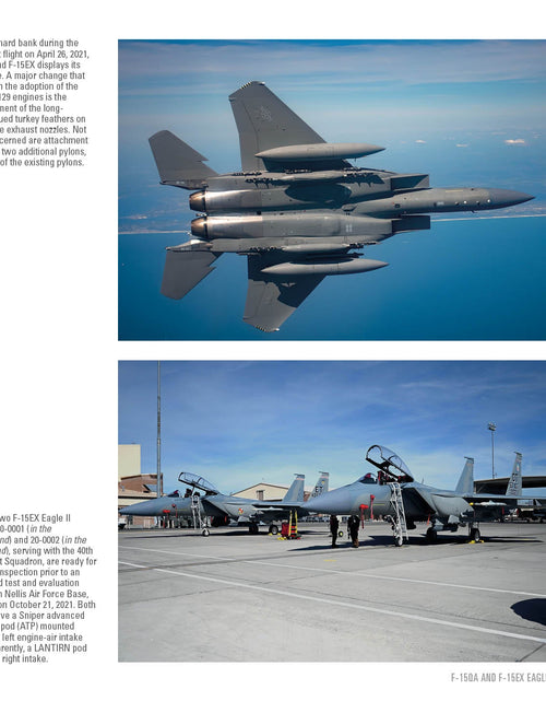 Load image into Gallery viewer, F-15 Eagle by Schiffer Publishing
